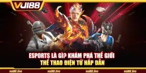 Esports là gì? Khám phá thế giới thể thao điện tử hấp dẫn
