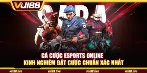 Cá cược eSports online – Kinh nghiệm đặt cược chuẩn xác nhất