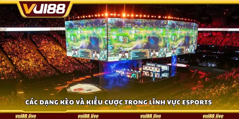 Các dạng kèo và kiểu cược trong lĩnh vực eSports
