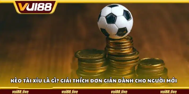 Kèo Tài Xỉu là gì? Giải thích đơn giản dành cho người mới