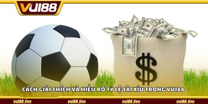 Cách giải thích và hiểu rõ tỷ lệ Tài Xỉu trong Vui88