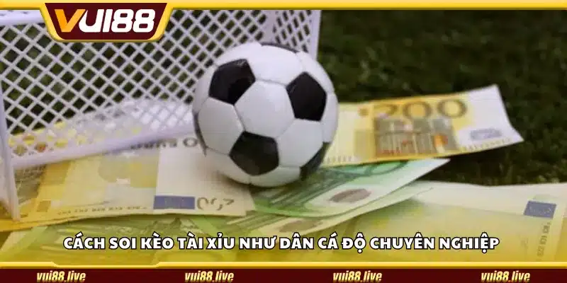 Cách soi kèo Tài Xỉu như dân cá độ chuyên nghiệp