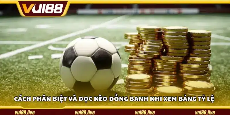 Cách phân biệt và đọc kèo đồng banh khi xem bảng tỷ lệ