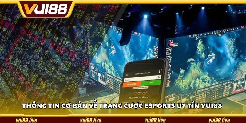 Thông tin cơ bản về trang cược eSports uy tín Vui88