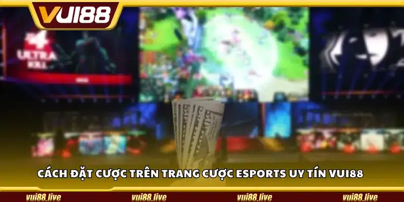 Cách đặt cược trên trang cược eSports uy tín Vui88